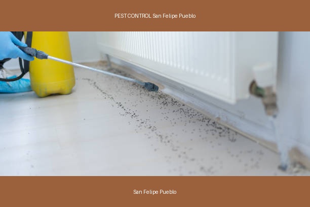 PEST CONTROL San Felipe Pueblo